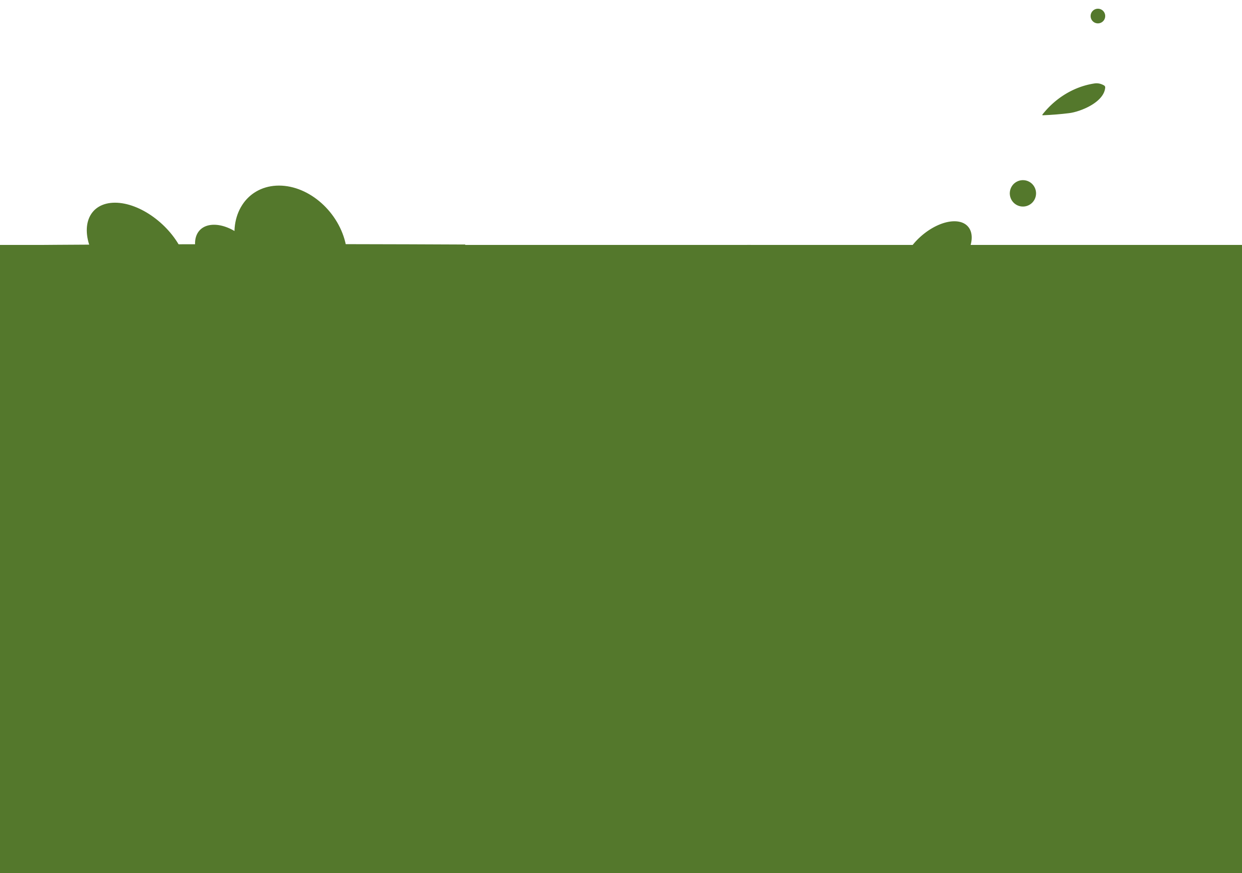 Rayon vert