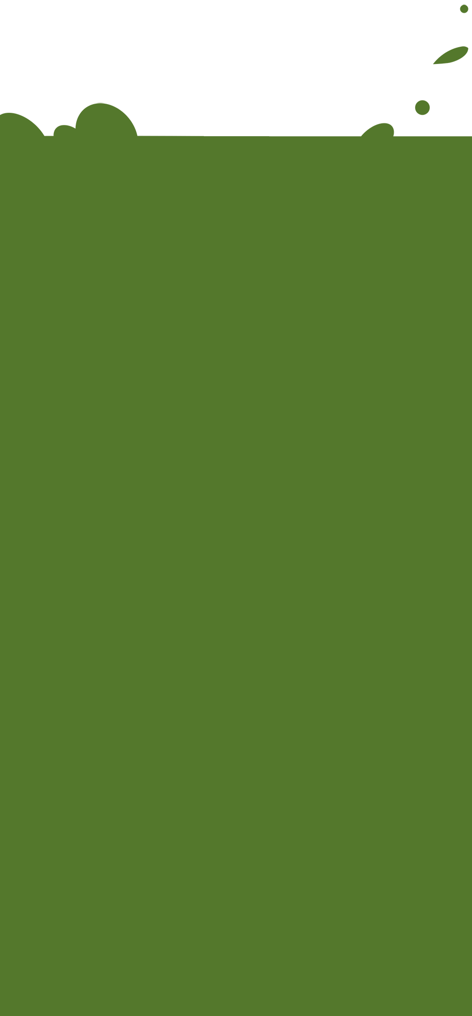 Rayon vert